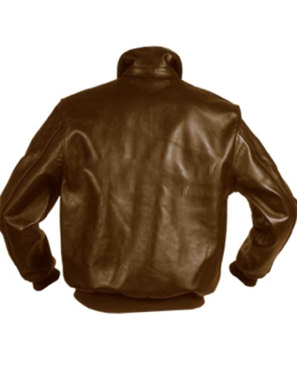 Back view of Authentic A2 Leather Flight Jacket