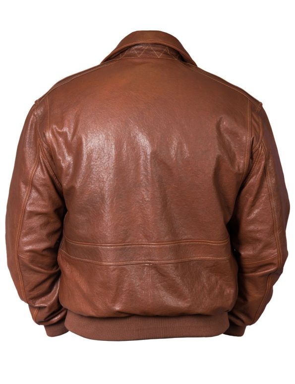 Back view of Air Force Flight Leather Jacket